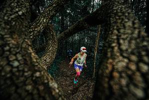 BIB: 
                            <button type="button" onclick="openModal(25674821)" class="btn btn-primary btn-sm float-right btn-popup" data-toggle="modal" data-target=".modal-high-quality">
                        <i class="fas fa-shopping-cart"></i> Add to Cart
                    </button>
                                            <button type="button" onclick="isThisMe(25674821, true)" class="btn btn-success btn-sm float-right btn-popup btn-isme hidden" data-toggle="tooltip" data-placement="bottom" title="นี่คือรูปของคุณใช่ไหม คลิกที่นี่เพื่อเอาเข้าอัลบั้ม">
                        <i class="fas fa-plus"></i> Add to album
                    </button>
                    <button type="button" onclick="isThisMe(25674821, false)" class="btn btn-warning btn-sm float-right btn-popup btn-isnotme hidden">
                        <i class="fas fa-ban"></i> Remove from album
                    </button>